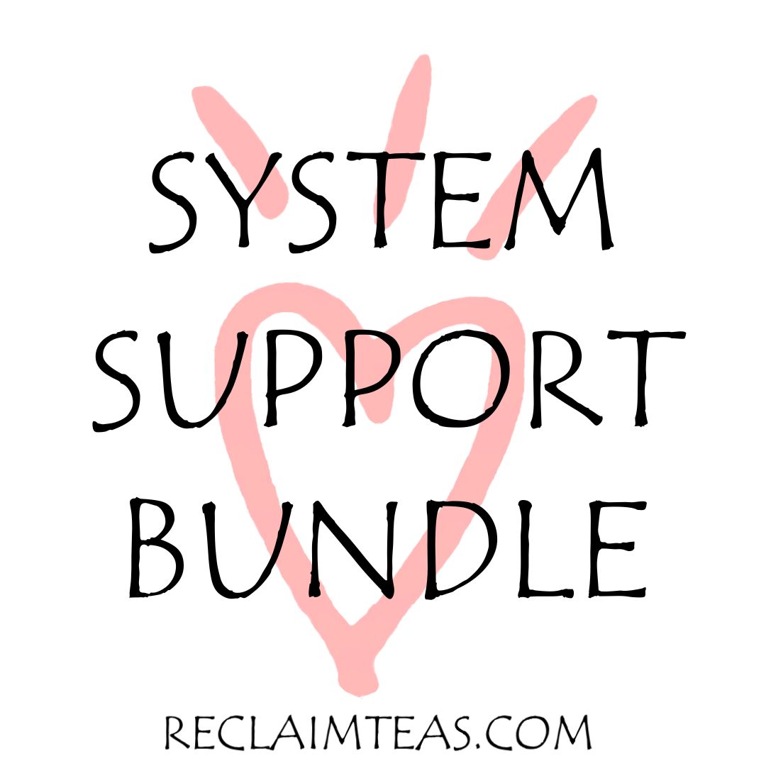 System Support Bundle